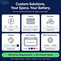 Paket baterai lithium LiFePO4 48V 51,2 V 105 Ah untuk shuttle wisata dan pengangkutan barang, dengan manajemen BMS cerdas