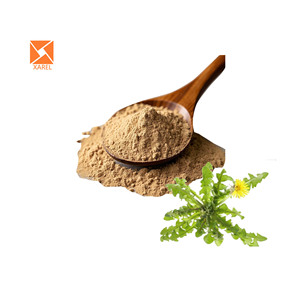 Bồ công anh flavonoid 10:1 <span class=keywords><strong>20</strong></span>:1 bồ công anh chiết xuất cấp thực phẩm tan trong nước rắn nước giải khát bột - Product Image 2