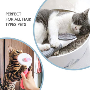 <span class=keywords><strong>2025</strong></span> HOT <span class=keywords><strong>Pet</strong></span> Groom ing <span class=keywords><strong>Products</strong></span> Edelstahl Entfernen Sie die Haar bürste selbst reinigend Haarentferner Cat Massage Comb Dog - Product Image 6