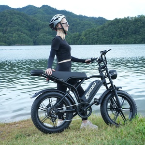 Bicicleta Eléctrica R002 E 250w con Amortiguadores y Batería de 15ah, Neumáticos Anchos, para Adultos, Disponible en Almacenes de China y Alemania - Product Image 2