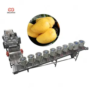 Mango Washing Sorting and Grading Treatment Machine Packing Lines Spray Wash Line for Fruits and Vegetables