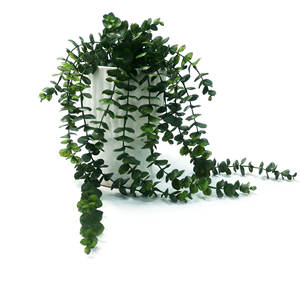 Plante artificielle d'<span class=keywords><strong>eucalyptus</strong></span> hautement réaliste en <span class=keywords><strong>pot</strong></span> en céramique pour la décoration intérieure et extérieure de la maison, des mariages, de Noël et des hôtels - Product Image 2