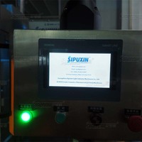 Machine de remplissage de liquides à 6 buses de haute précision, à commande servo, en acier inoxydable, pour le remplissage de sauces, de miel, de shampooing