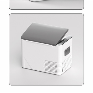 <b>Compressor</b> Car Refrigerator 10L Portable Direct Cooling 12V 24V Vehicle Home Use <b>Mini</b> Fridge - Product Image 1