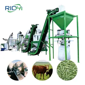 RICHI 1-10T/H Hops Corn Crop Wheat Straw Alfalfa Grass Hemp Pellet Plant For Animal Silage Pellet Feed