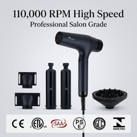 Secador de Pelo de Alta Velocidad de 110000 RPM de Marca Privada, Certificado CE, Fabricante Profesional de Productos para el Cuidado del Cabello OEM ODM, MOQ 500