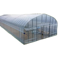 Serre tunnel agricole Shine-tech de petite taille en PE pour la culture hydroponique de tomates, à vendre