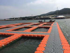 Modular nổi phao Cube nổi bến cảng thiết kế linh hoạt cho lối đi cầu và nuôi trồng thủy sản Piston phần - Product Image 5