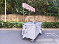 Chariot de nourriture mobile pour café et en-cas, remorque de vente en plein air