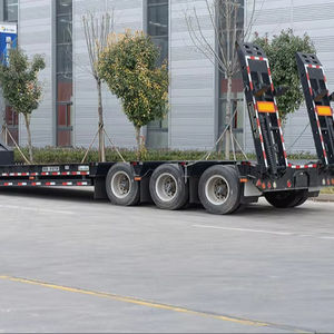 Rimorchio Ribassato Weierxin a 2/3/4 Assi, 30 Tonnellate, 40 Piedi, 60 Tonnellate - Product Image 1