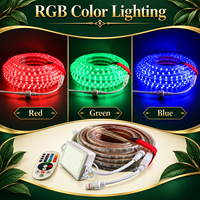 Kit de bande LED RGB 5050 en PVC classé IP65 110V, 60 LED par mètre avec télécommande et connecteurs moulés pour éclairage couleur