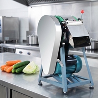 Premium professionele mandoline groentesnijder set met vervangende messen - multifunctionele aardappel- en uien snijder, veilig voor de keuken