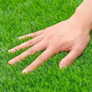 <span class=keywords><strong>Gazon</strong></span> synthétique imperméable de haute qualité 20 mm, tapis d'herbe artificielle souple pour <span class=keywords><strong>terrain</strong></span> de football extérieur, salle de sport, pelouse verte - Product Image 3