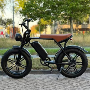 Vélo Électrique Tout-Terrain Portable pour Adultes avec Pneus Larges de 20 Pouces, Batterie au Lithium, Moteur Brushless à Moyeu Arrière et Cadre en Aluminium – Offre Spéciale - Product Image 5