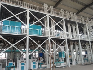 Hoàn Toàn Tự Động Ngô Bột Phay Và Ngô Bột Làm Máy Điện Hạt Nhà Máy Để Bán - Product Image 2