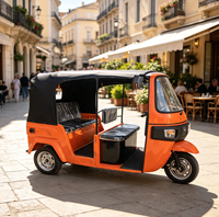 Tricycle Taxi Électrique pour Passagers 4 Places 3000W Carrosserie Ouverte Haute Vitesse 60km/h Charge Lourde Frein à Disque 50-70km