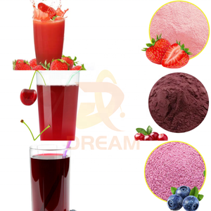 Máquina secadora de líquido a polvo, pequeña máquina para hacer leche en polvo, <span class=keywords><strong>precio</strong></span>, Máquina secadora centrífuga de proteína en polvo - Product Image 2