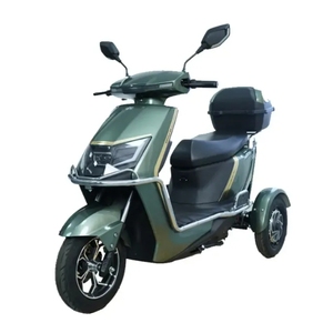 Triciclo Elettrico Inclinabile a Doppio Motore 800W*2 per Esterni, Triciclo a 3 Ruote per Salita in Collina, Vacanze, Viaggi per Anziani, Carrozzeria Aperta - Product Image 5