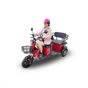 Fashion 200Kg Load 3 Wheel Electric Scooter For Elderly People Mid-Drive Electric Trike Suppliers