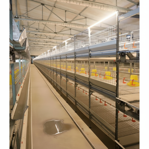 Nouvelles cages à poulets de chair économiques à conception multi-couches verticale de type H, pour fermes de micro-poulets périurbaines, faciles à utiliser, garantie 5 ans - Product Image 1