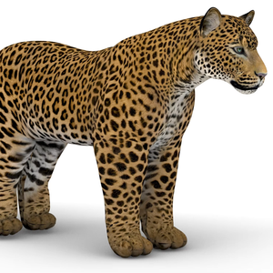 Tigre inflable realista, personaliza animales salvajes inflables, explota el tigre <span class=keywords><strong>salvaje</strong></span> inflable - Product Image 1