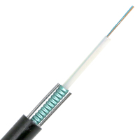 Cable de Fibra Óptica para Exteriores TTI Central Loose Unitube, Blindado Ligero, Revestimiento de PVC y PE, Aéreo, de 2 a 24 Hilos, GYXTW, Negro, SM/MM, Guangdong