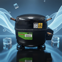 Compresseur de réfrigérateur et de climatisation 115V pour SECOP SC15G SC12MLX SC15MLX.2 SC18MLX SC15CLX.2 SC18CLX.2 SCE15CNLX