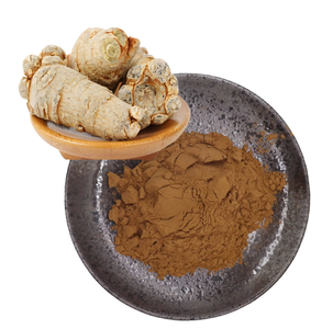 Bom Puro para Saúde Extrato Vegetal <span class=keywords><strong>Panax</strong></span> <span class=keywords><strong>Notoginseng</strong></span> <span class=keywords><strong>Extract</strong></span> - Product Image 1