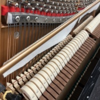 Well Preserved Kawai DS80 Upright Piano European Style Timbre for Advanced Learner Exam Performance