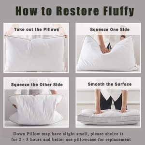 Bantal Bulu Angsa Masukkan untuk Tidur 2 Pak, 100% Katun Bawah Bantal Koleksi Hotel Bantal Tempat Tidur untuk Semua Musim