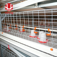 Système de cages à poulets de chair type H, cage à poulets de chair avec alimentation et abreuvement automatiques, bande de fumier, sol en plastique à lattes, 4 niveaux, vente en gros