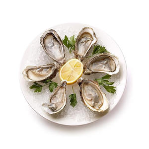 Plat à huîtres en céramique Plat à huîtres <span class=keywords><strong>Assiette</strong></span> à huîtres en <span class=keywords><strong>porcelaine</strong></span> blanche fine - Product Image 6