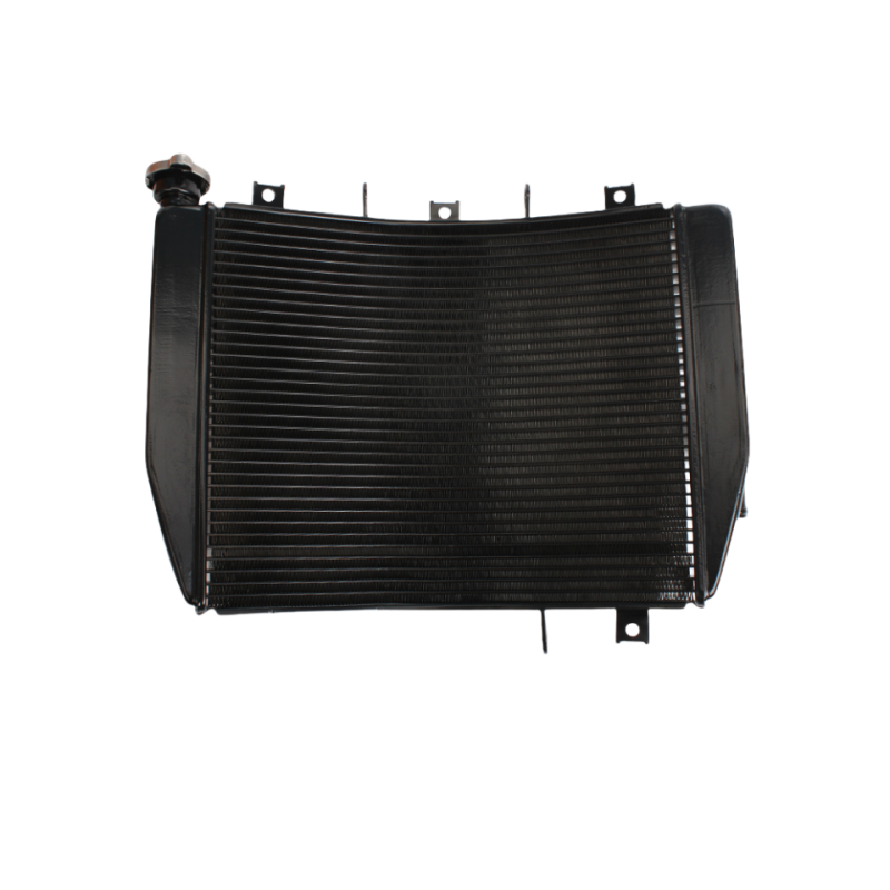 Versión de exportación ZX-10R 2006-2007