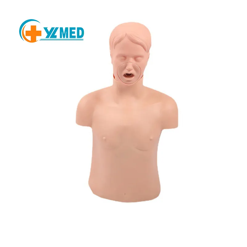 Medische Wetenschap Volwassen Luchtweginfarct Cpr Model EHBO Training Model Volwassen Luchtwegobstructie Trainingsmodel