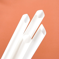 Pailles jetables en PLA blanc pour boba, pailles biodégradables en fibre de bambou pour milkshake et thé boba – Vente en gros