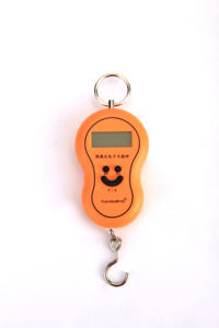 Elektronische digitale hängende Waage Reise tragbare Gepäck waage 50kg - Product Image 4