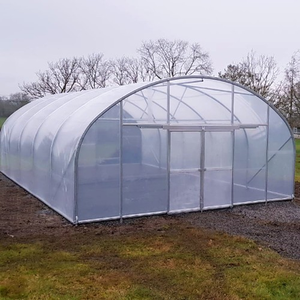 Bán buôn bán Hot kích thước lớn đường hầm cao nông nghiệp nhà kính cho cà chua hạt giống rau phát triển nhà kính - Product Image 1