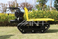 Chargeuse-pelleteuse sur chenilles ANT, mini-dumper auto-déchargeur, moteur 5,5 CV, boîte de vitesses à roulements, rayon de braquage court BY400