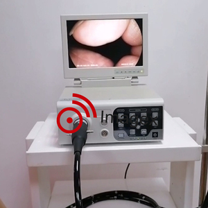 Gastroscopie vétérinaire vidéo 1080P HD, endoscope flexible avec canal de travail, pour clinique vétérinaire (chien, chat, cheval, animaux) - Product Image 4
