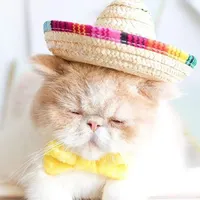 Thời Trang Pet Mini Dệt Mũ Rơm Cho Mèo Phong Cách Bãi Biển Hat Sombrero Cho Chó Nhỏ Mèo Đảng Straw Trang Phục Phụ Kiện Cho Mèo