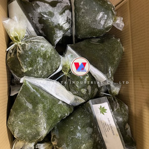 Purée de feuilles de manioc surgelée en vrac |   Feuilles 100% naturelles |   Emballage sous vide |   Prêt à l'emploi |   Marque Vdelta Vietnam - Product Image 1