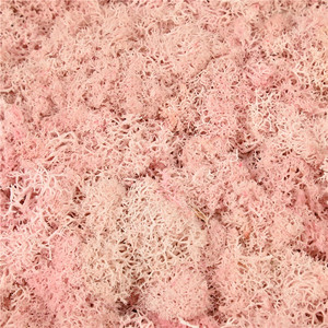 มอสตกแต่งโต๊ะต้นไม้กระถางมอสตกแต่งบ้านศิลปะตกแต่งบ้าน - Product Image 3