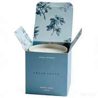 Boîte en carton biodégradable haut de gamme avec logo personnalisé et image élégante pour l'emballage de bougies, aliments et tasses à thé pour boutique