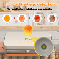 WONEGG 80% Choix des clients 56 Incubateur électrique automatique pour œufs de poule, caille et perroquet, Machine d'éclosion 50 œufs