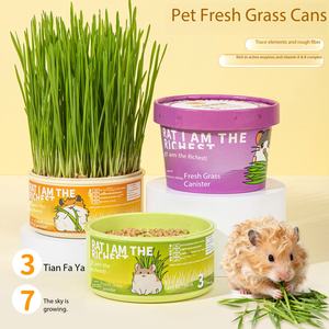 <span class=keywords><strong>Semillas</strong></span> <span class=keywords><strong>de</strong></span> Trigo Especiales para Hámster Sirio, Granos Germinados Hidropónicos, Alimento Comestible para Mascotas Pequeñas - Product Image 2