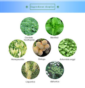 肺喫煙者茶肺デトックスハーブティークレンジング肺禁煙茶 - Product Image 5