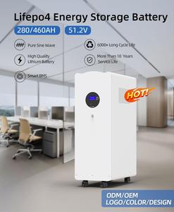 Batterie au phosphate de fer et de lithium 51,2 V 628 Ah 32 kWh avec BMS intégré, type split, pour système solaire, communication CAN - Product Image 5