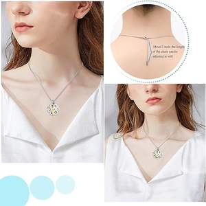 Мемориальный кулон-урна из нержавеющей стали для праха, мини-футляр для хранения, ювелирное изделие для кремации собак и кошек - Product Image 5