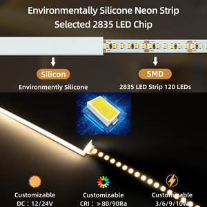 Produttore 4*8 6*12 6*13 8 8*15mm Mini striscia al <span class=keywords><strong>Neon</strong></span> flessibile per interni 24V 12V <span class=keywords><strong>120</strong></span> led/m P67 impermeabile <span class=keywords><strong>tubo</strong></span> al <span class=keywords><strong>Neon</strong></span> in Silicone - Product Image 4