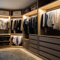 Fabriqué en Chine, armoire de rangement pour vêtements en bois MDF de haute qualité, moderne et luxueuse, pour la maison, la chambre à coucher, l'hôtel, pour femmes